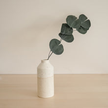 Load image into Gallery viewer, Silver Dollar Eucalyptus - Preserved